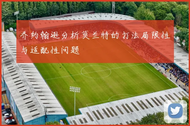乔约翰逊分析莫兰特的打法局限性与适配性问题