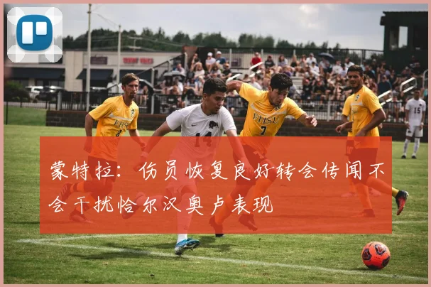 蒙特拉：伤员恢复良好转会传闻不会干扰恰尔汉奥卢表现