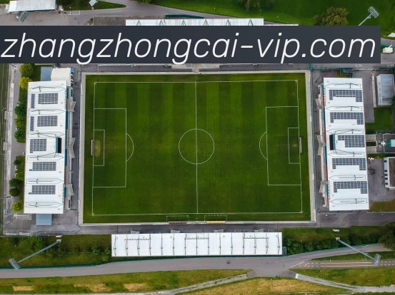 对战数据统计